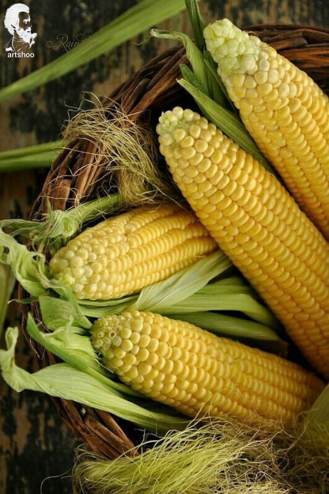 آموزش نقاشی رنگ روغن